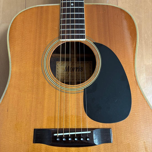 Acoustic Guitars W-25 1973