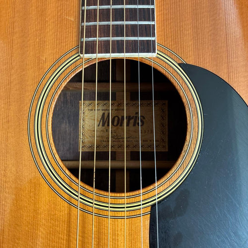 Acoustic Guitars W-25 1973