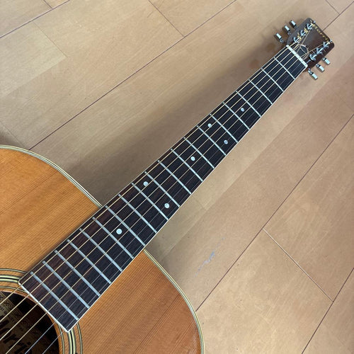 Acoustic Guitars W-25 1973