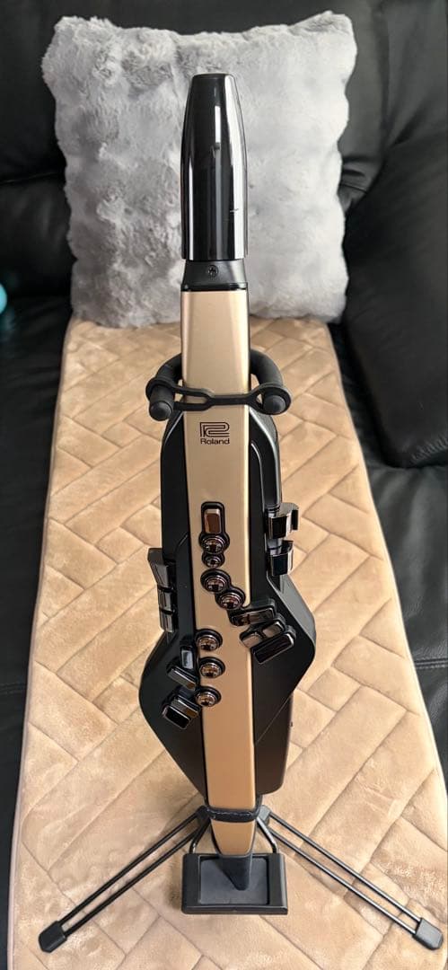 Roland Other Ae-20Sc