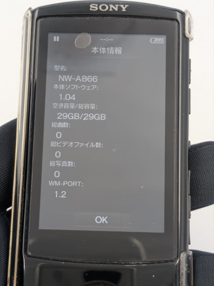 Sony Digital Audio Players Walkman