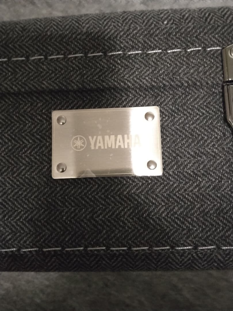 Yamaha Acoustic Guitar Fs9M