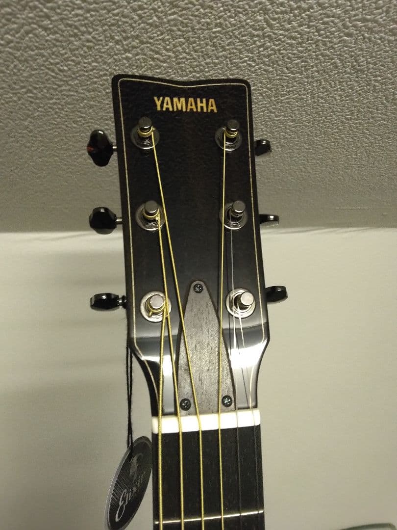 Yamaha Acoustic Guitar Fs9M