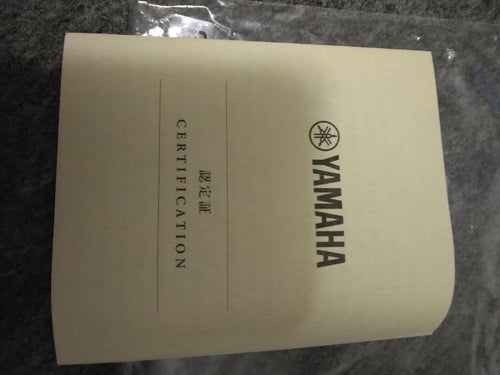 Yamaha Acoustic Guitar Fs9M