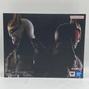 Bandai Spirits Kamen Rider S.H.Figuarts( [24]