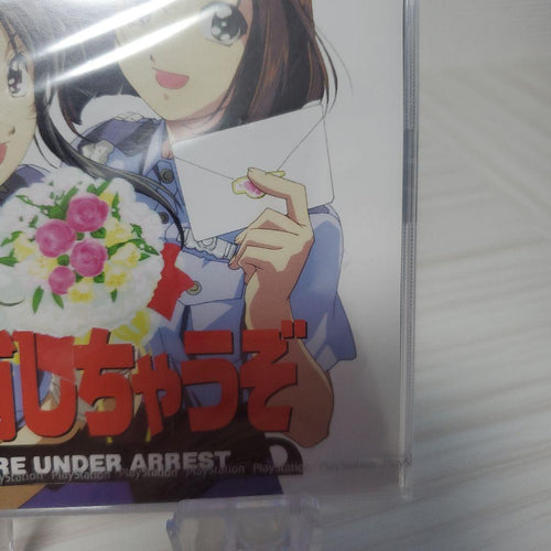 Pioneer Soft You'Re Under Arrest (Ps1)