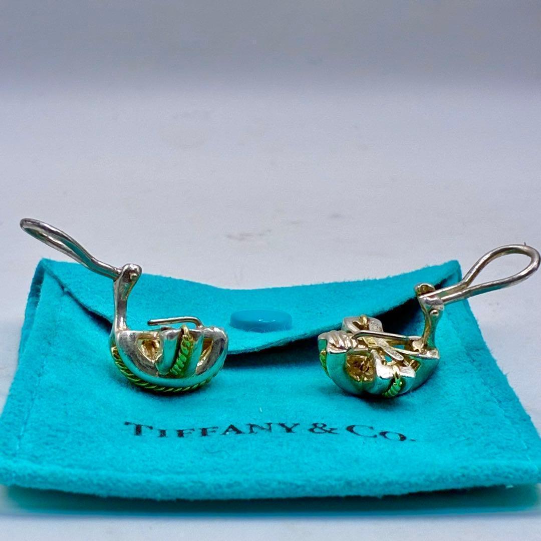 Tiffany Earring 950 750