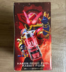 Kamen Rider Dx 1To4