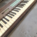Yamaha Analog Synthesizer Dx9