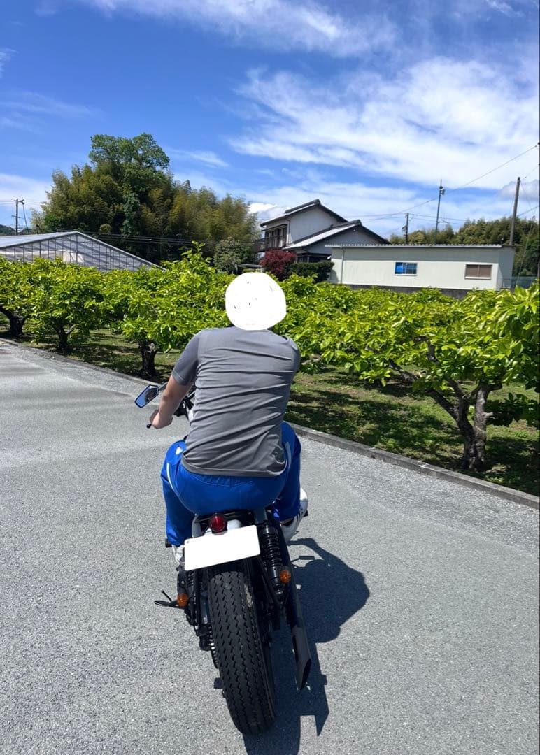 Yamaha Motorcycle Body 250