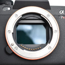 Mirrorless Interchangeable Lips B#10405 Sony( 7Rv Ilce-7Rm5