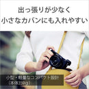 Sony Mirrorless Interchangeable Lips Ilce-6400X Sq
