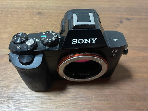 Sony Mirrorless Interchangeable Lips A7