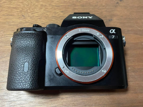 Sony Mirrorless Interchangeable Lips A7