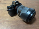 Sony Mirrorless Interchangeable Lips A7