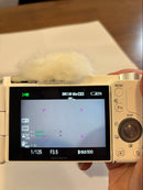 Sony Mirrorless Interchangeable Lens Cameras Sd Zv-E10