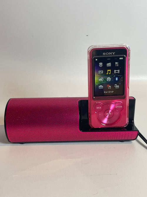 Sony Digital Audio Player Nw-S13