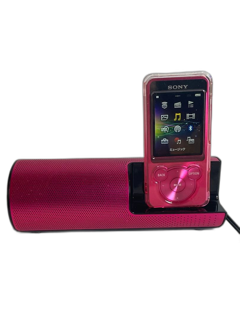 Sony Digital Audio Player Nw-S13