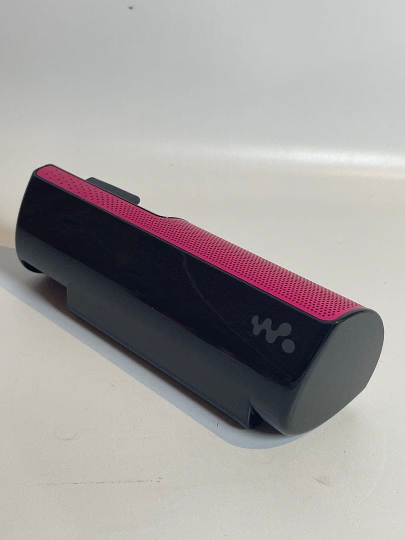 Sony Digital Audio Player Nw-S13