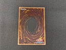 Yu -Gi -Oh! Ocg Duel Monsters Yg Rv01-Jp008
