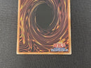 Yu -Gi -Oh! Ocg Duel Monsters Yg Rv01-Jp008