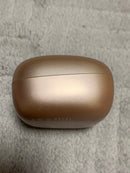 Wireless Earphones #01 Soundcore C40I