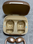 Wireless Earphones #01 Soundcore C40I