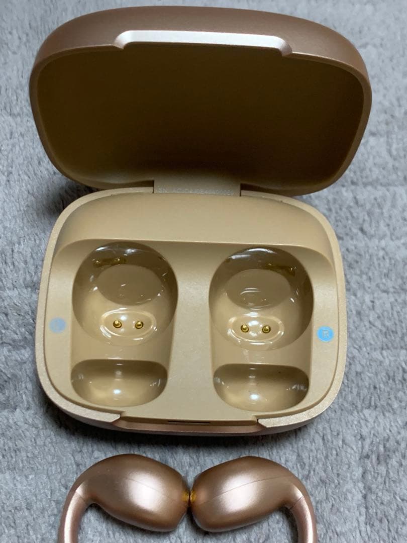 Wireless Earphones #01 Soundcore C40I