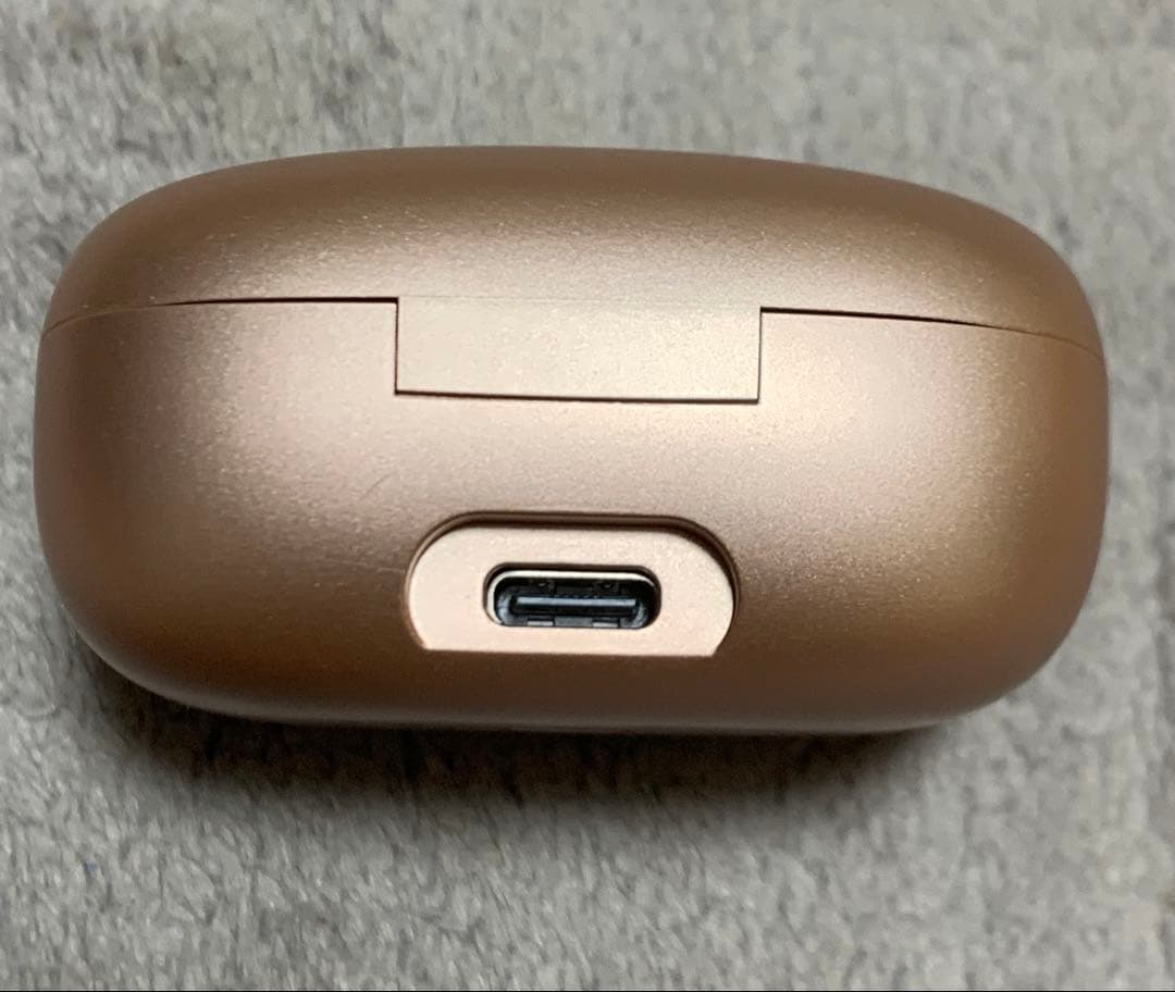 Wireless Earphones #01 Soundcore C40I