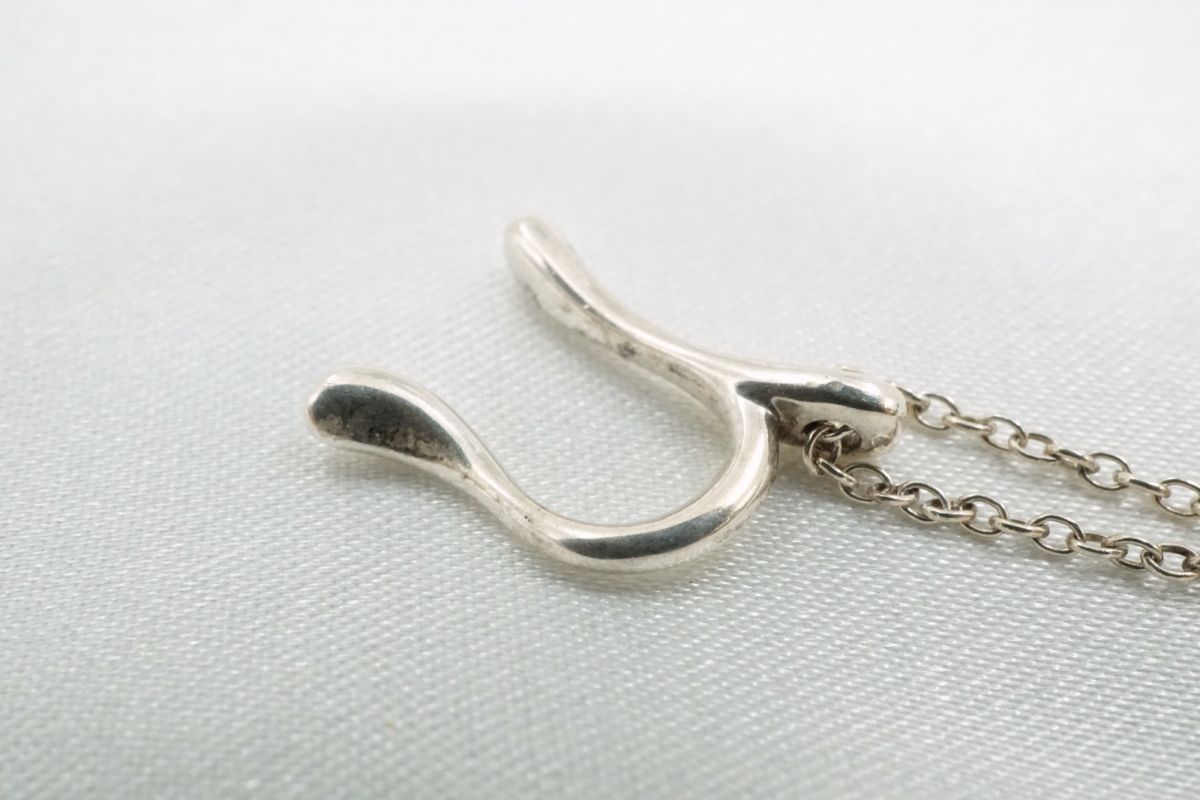 Tiffany Necklace N Unisex Sv925 Tiffany&Co. 6700J