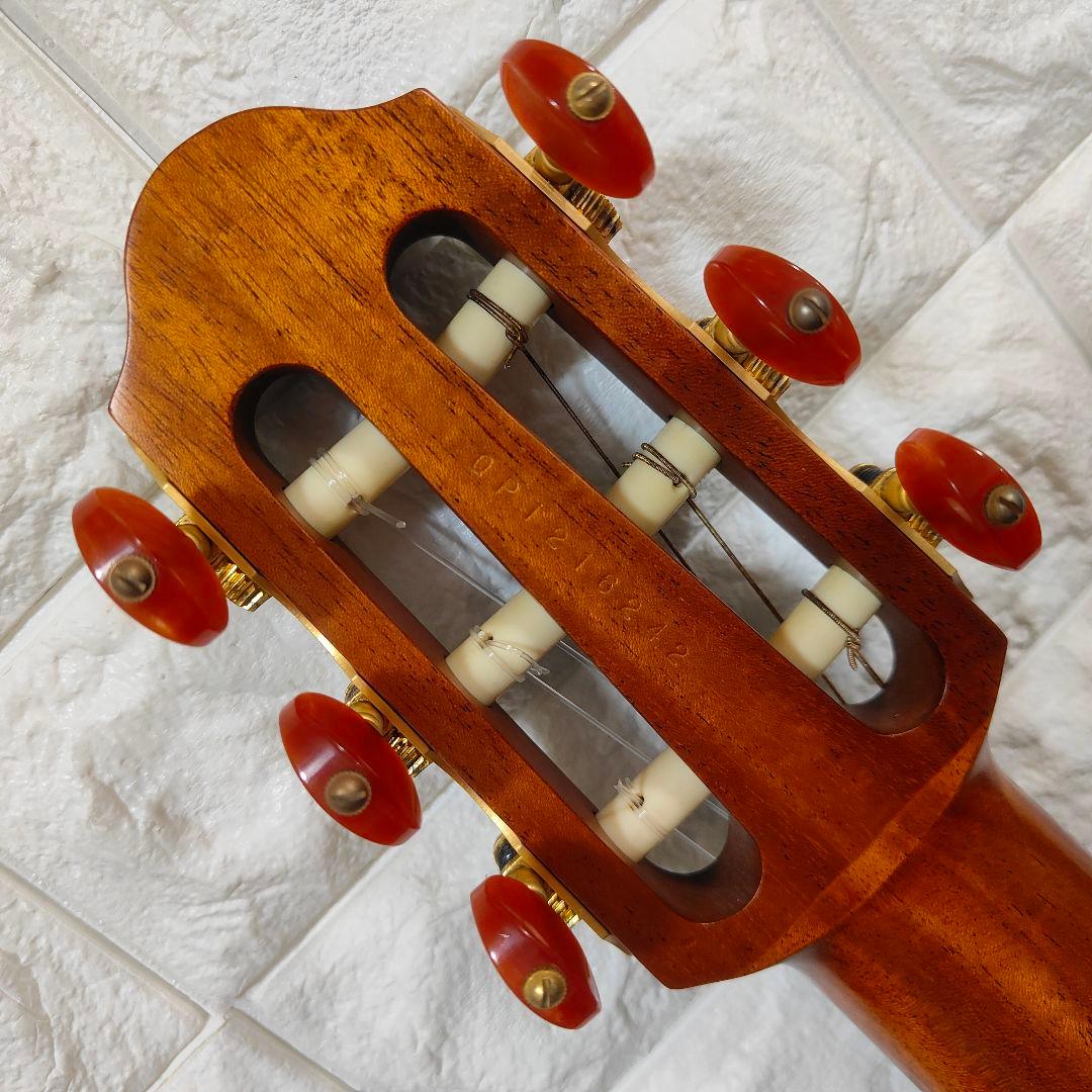 Yamaha Other Slg100N