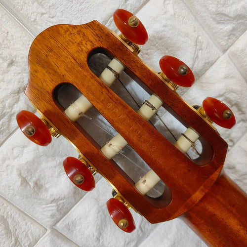 Yamaha Other Slg100N