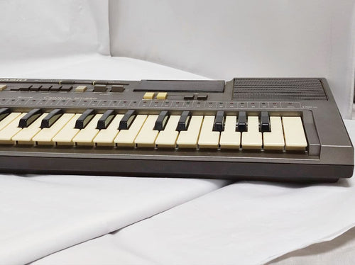Casio Keyboard Electronic Piano Mt-820 Rom Pack Ro-121N