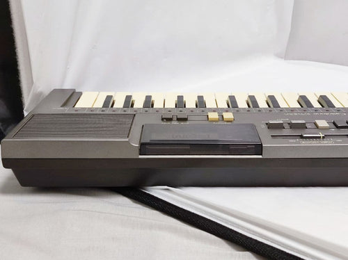 Casio Keyboard Electronic Piano Mt-820 Rom Pack Ro-121N