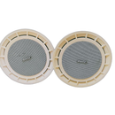 Bose Speaker 111 Cl