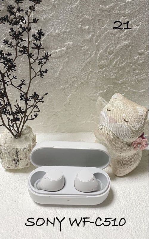 Sony Wireless Earphones Wf-C510
