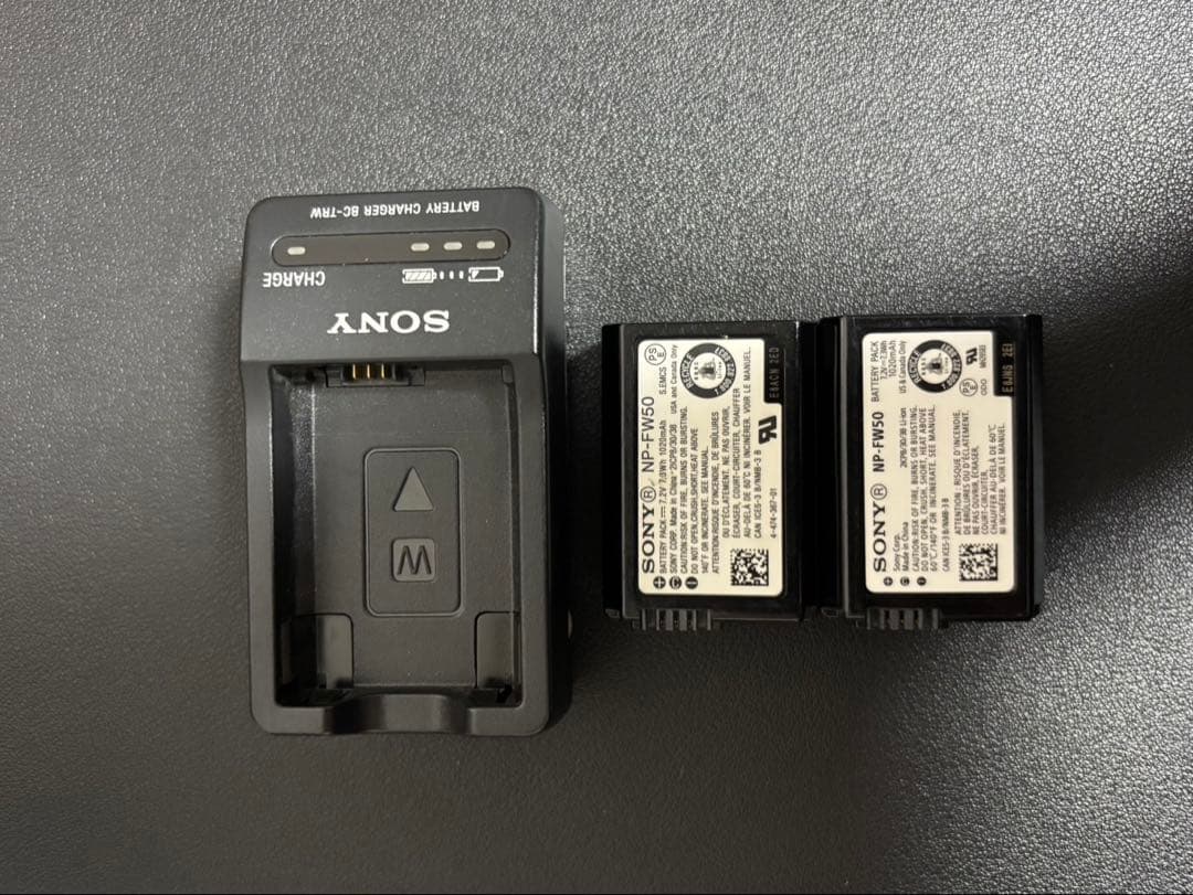 Sony Mirrorless Interchangeable Lips 6400