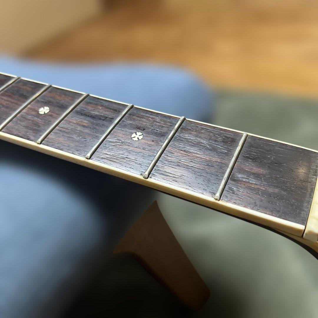 Yamaha Acoustic Guitars Fg-301B