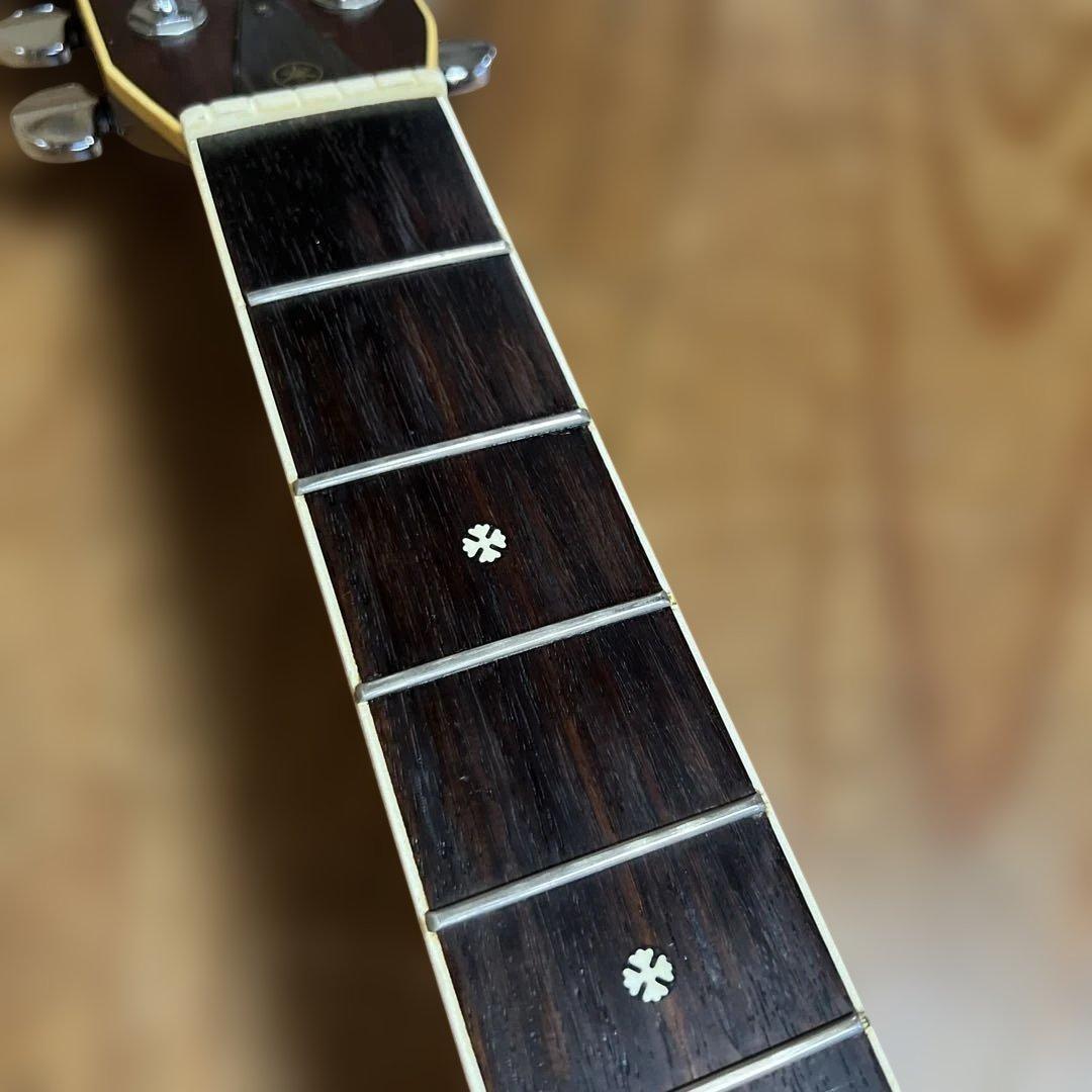 Yamaha Acoustic Guitars Fg-301B