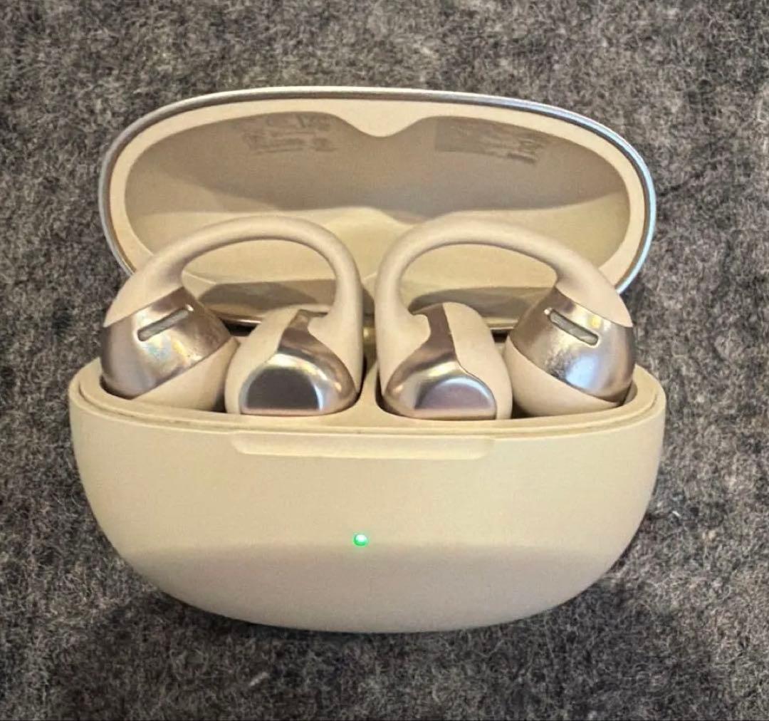 Shokz Wireless Earphones Opendots One Gray
