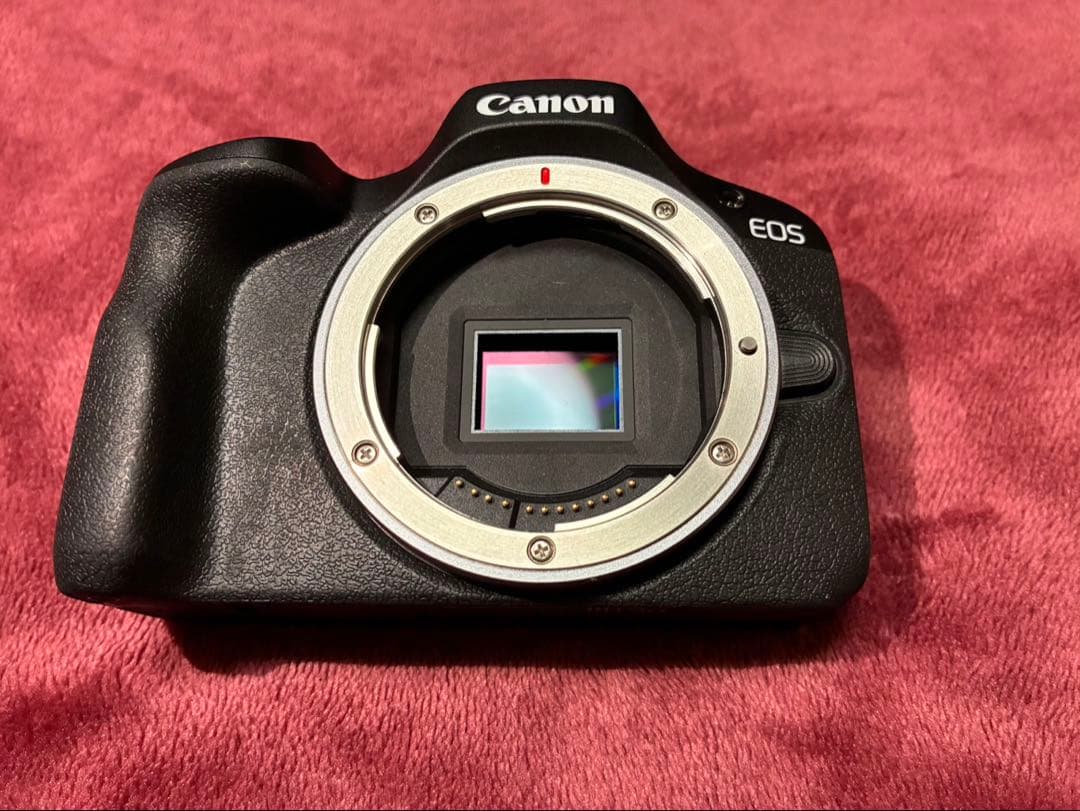 Canon Mirrorless Interchangeable Lens Cameras Eos R100