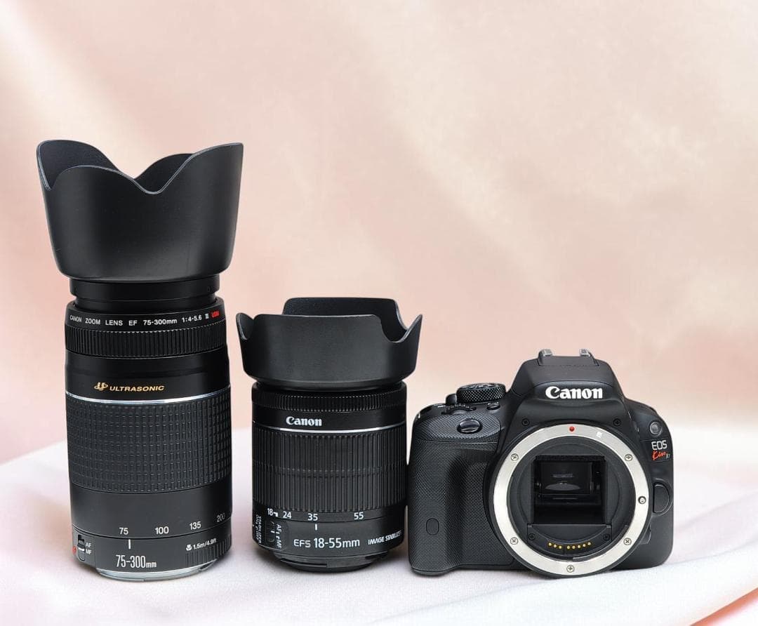 Canon Digital Slrs Eos Kiss X7 Ok