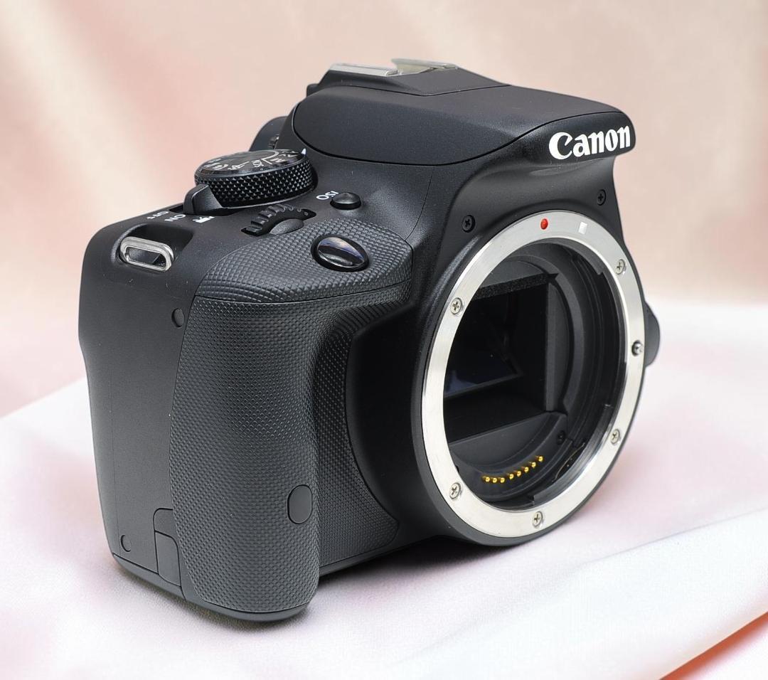 Canon Digital Slrs Eos Kiss X7 Ok