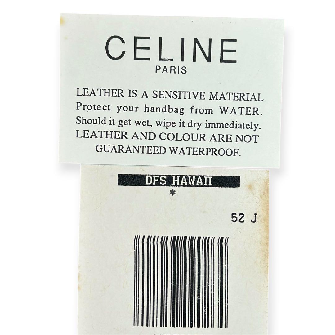 Celine Pouches