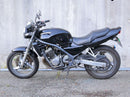 Motorcycle Body 250 I