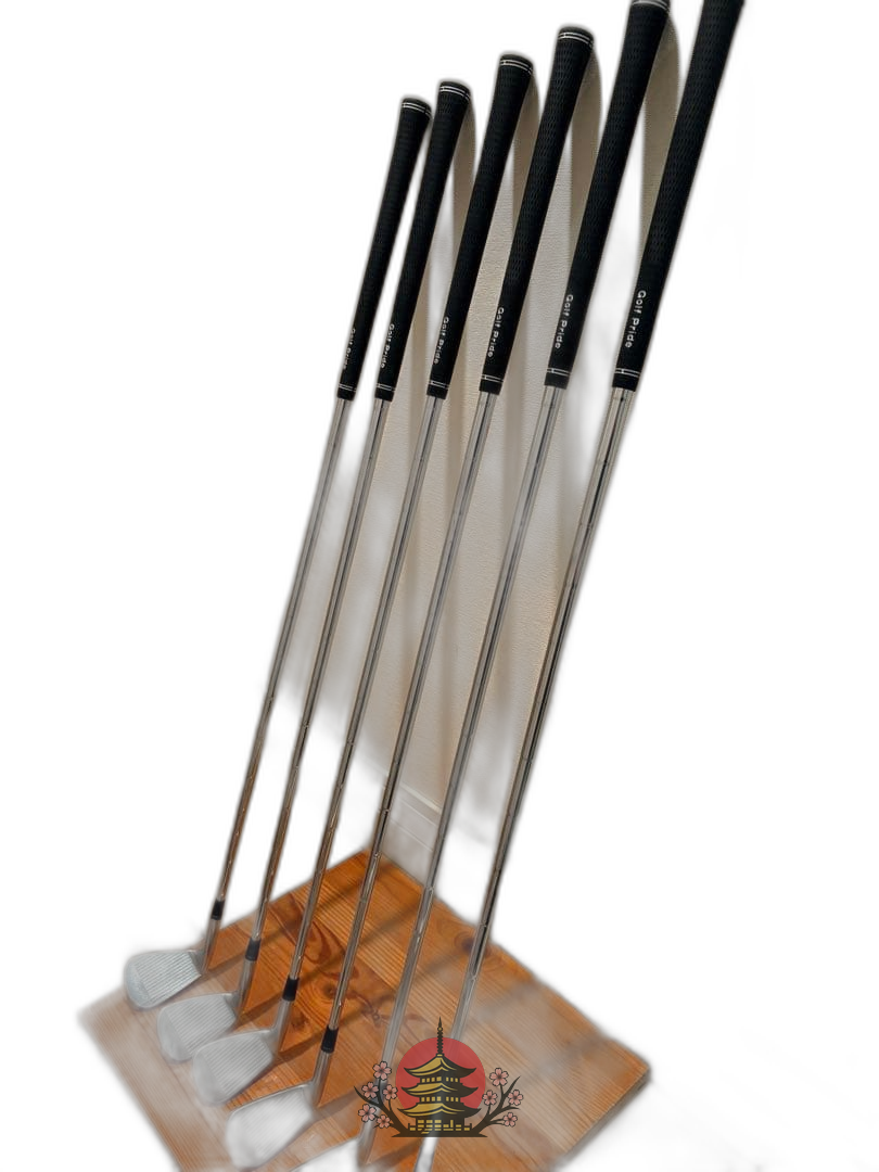 Taylormade Iron Set P750Tourproto 5-P X100