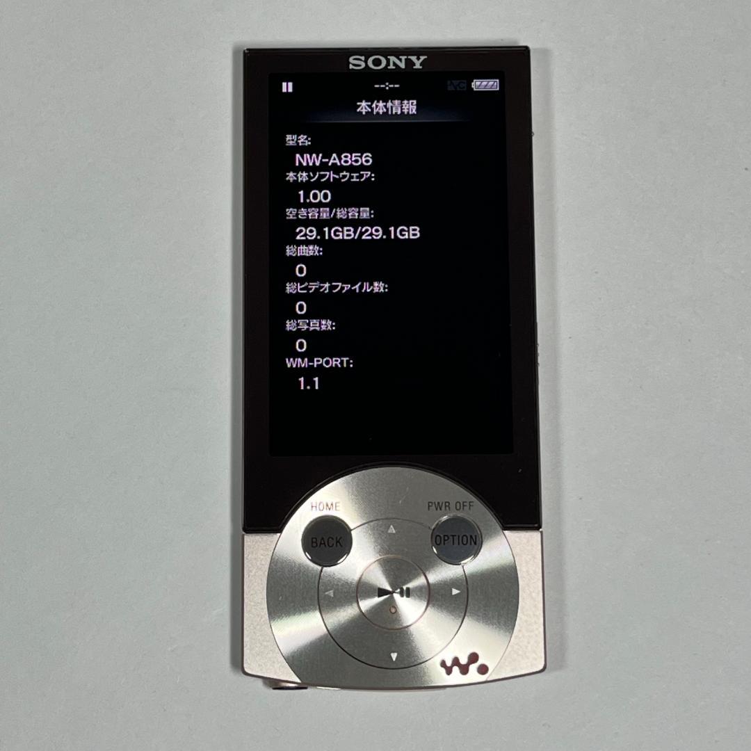 Sony Digital Audio Players Nw-A856/P 32Gb