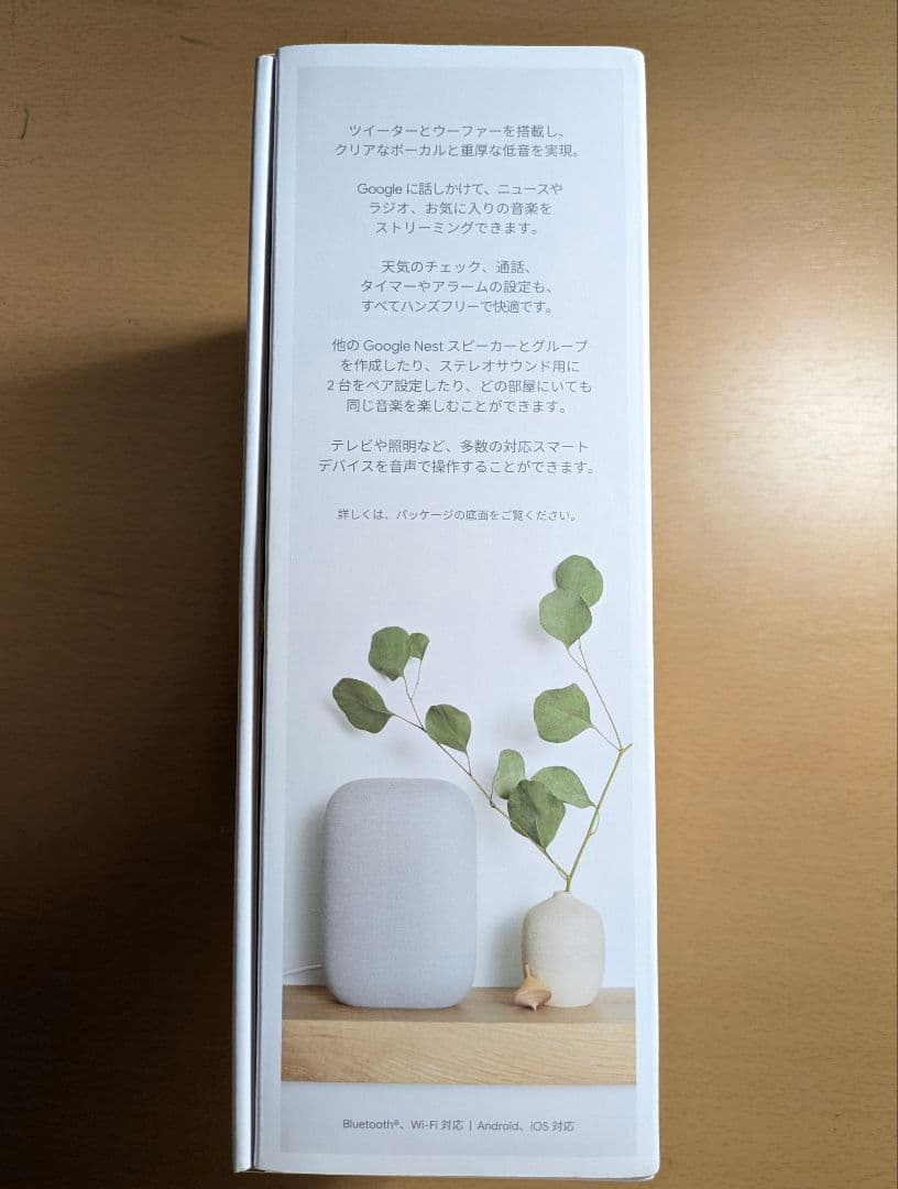 Google Smart Speakers Nest Audio Chalk