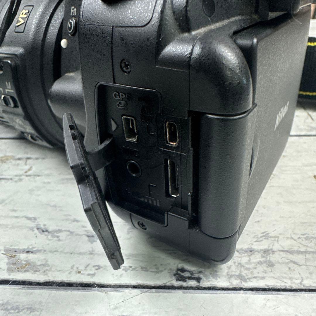 Nikon Digital Slrs D5100