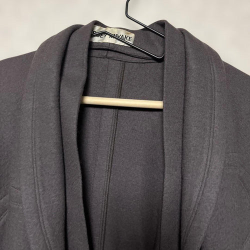 Issey Miyake Pants Outfits